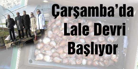 Çarşamba’da Lale Devri Başlıyor