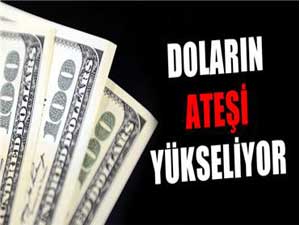 Dolar 2,19u aştı