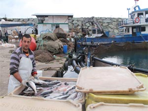 Kültür Balığı Üreticileri Dertli