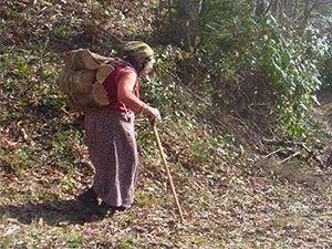 Sağlıklarını çalışmaya borçlular