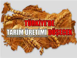 Türkiyede tarım üretimi düşecek