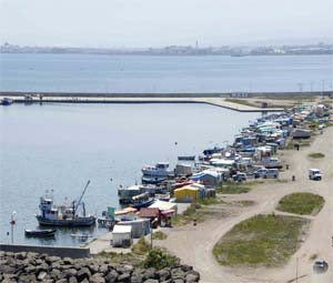 Belediyeevleri Balıkçı Barınağı Yıkılacak, Yenisi Yapılacak