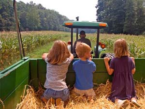 Aile Çiftliklerine Uygun Kredi Geliyor