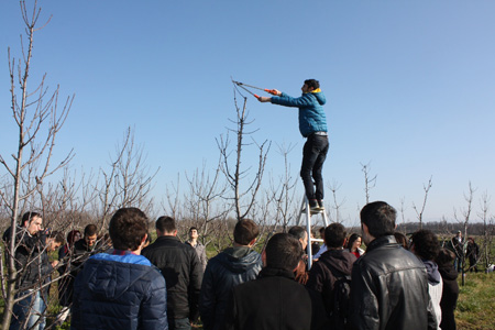 Öğrencilere Budama Terbiye Dersi