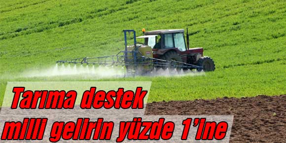 Tarıma destek milli gelirin yüzde 1’ine çıkarılmalı…