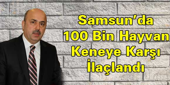 Samsun’da 100 Bin Hayvan Keneye Karşı İlaçlandı