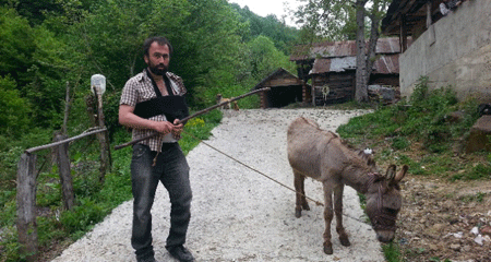 Eşeğin saldırısına uğradı, eski sahibine dava açtı