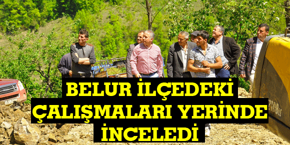 BELUR İLÇEDEKİ ÇALIŞMALARI YERİNDE İNCELEDİ