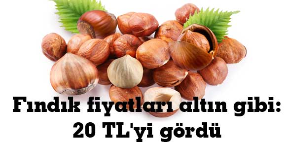 Fındık fiyatları altın gibi: 20 TLyi gördü