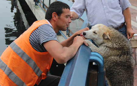 Göle Düşen Köpeği Kurtarma Operasyonu