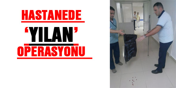 HASTANEDE ‘YILAN’ OPERASYONU