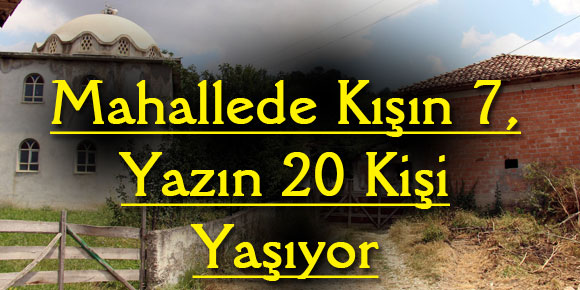 Mahallede Kışın 7, Yazın 20 Kişi Yaşıyor