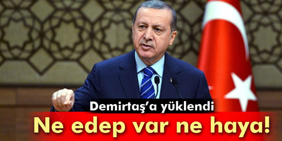Cumhurbaşkanı Demirtaşa yüklendi: Ne edep var ne haya!