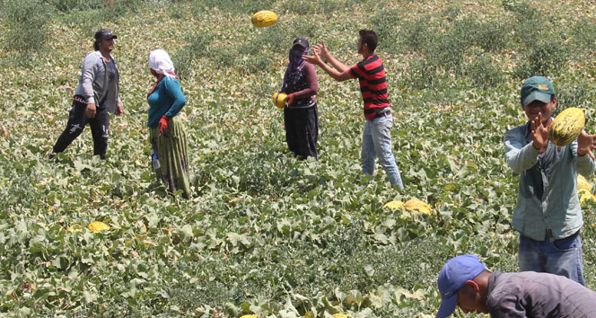 40 lira için 45 derecelik sıcakta ekmek parası