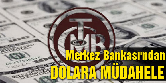 Merkez Bankasından dolara müdahale