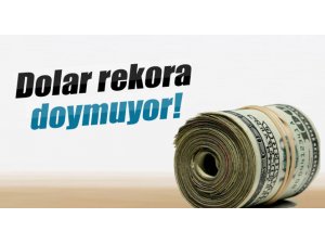 Dolar rekora doymuyor