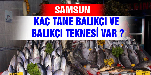 SAMSUN’DA 3 BİN 617 RUHSATLI BALIKÇI VE 470 TANE DE BALIKÇI TEKNESİ VAR