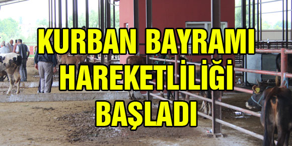 KURBAN BAYRAMI HAREKETLİLİĞİ BAŞLADI