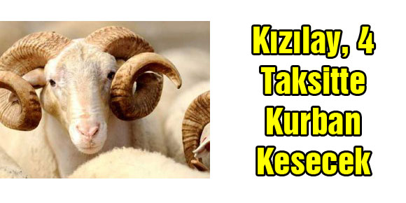 Kızılay, 4 Taksitte Kurban Kesecek