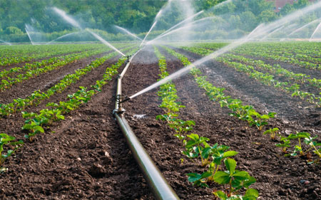 Tarım Sektöründe Şoke Eden Su İsrafı