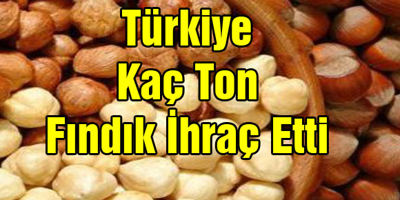 Türkiye kaç ton fındık ihraç etti?