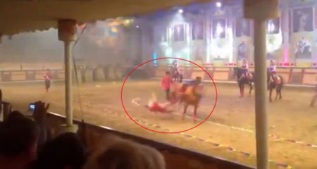 At, kadın akrobatı öldürdü