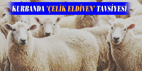 KURBANDA ÇELİK ELDİVEN TAVSİYESİ