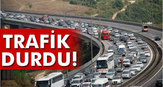 TEM otoyolu Kocaeli kesiminde trafik durdu