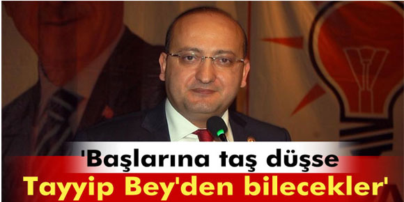 Akdoğan: Başlarına taş düşse Tayyip Beyden bilecekler