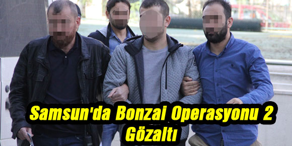 Samsunda Bonzai Operasyonu: 2 Gözaltı