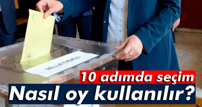 Nasıl oy kullanılır? 10 adımda seçim