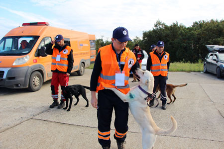 AFAD’ın Açtığı Sınavı Geçen Köpekler, Sertifika Alacak