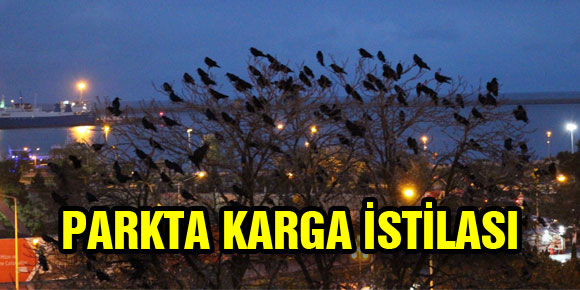 PARKTA KARGA İSTİLASI