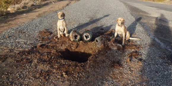 PKK’ya ağır darbe!