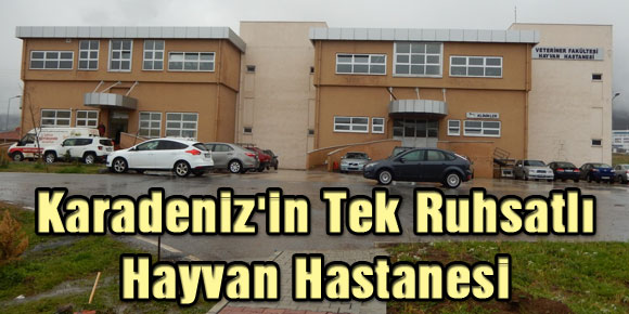 Karadenizin Tek Ruhsatlı Hayvan Hastanesi