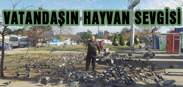 VATANDAŞIN HAYVAN SEVGİSİ