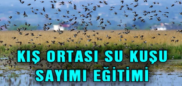 KIŞ ORTASI SU KUŞU SAYIMI EĞİTİMİ