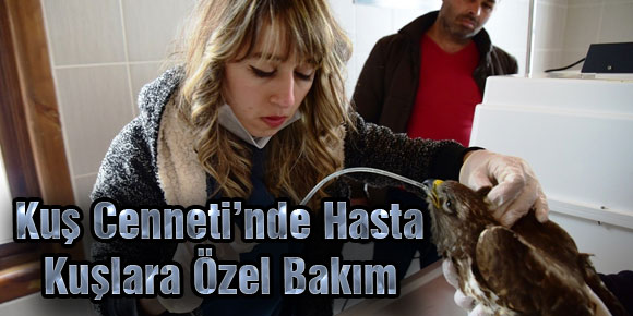 Kuş Cenneti’nde Hasta Kuşlara Özel Bakım