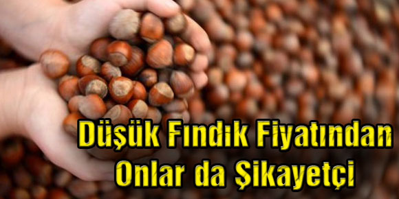 Düşük Fındık Fiyatından Onlar da Şikayetçi