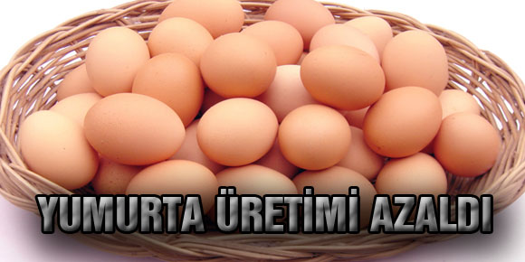 YUMURTA ÜRETİMİ AZALDI