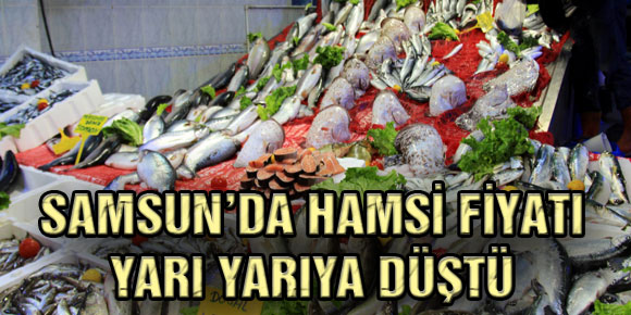 SAMSUN’DA HAMSİ FİYATI YARI YARIYA DÜŞTÜ