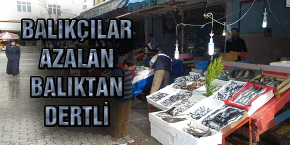 BALIKÇILAR AZALAN BALIKTAN DERTLİ...