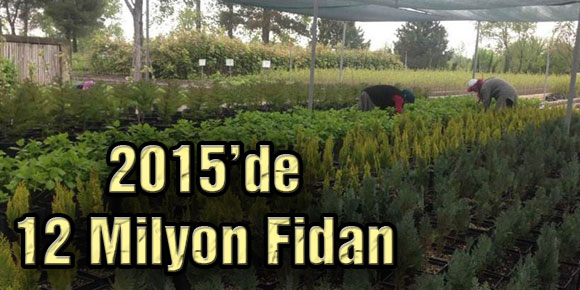 2015’de 12 Milyon Fidan