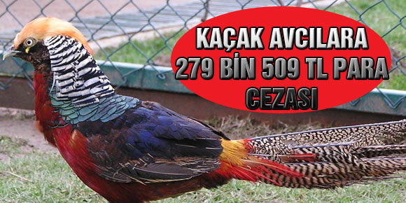 Kaçak Avcılara 279 Bin 509 TL Para Cezası