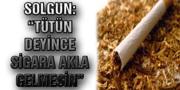Solgun: “Tütün Deyince Sigara Akla Gelmesin”