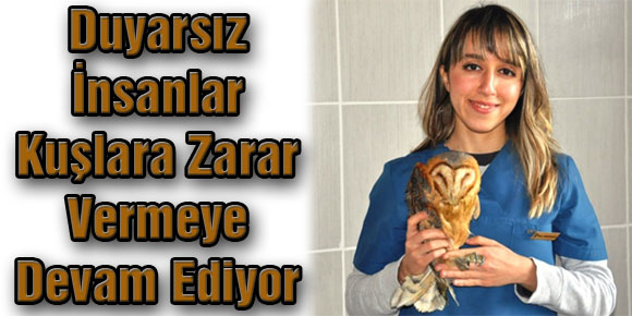 Duyarsız İnsanlar Kuşlara Zarar Vermeye Devam Ediyor