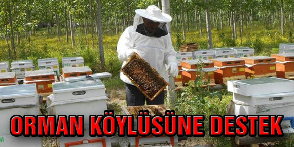 Orman Köylüsüne Destek