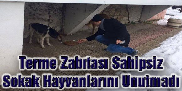 Terme Zabıtası Sahipsiz Sokak Hayvanlarını Unutmadı