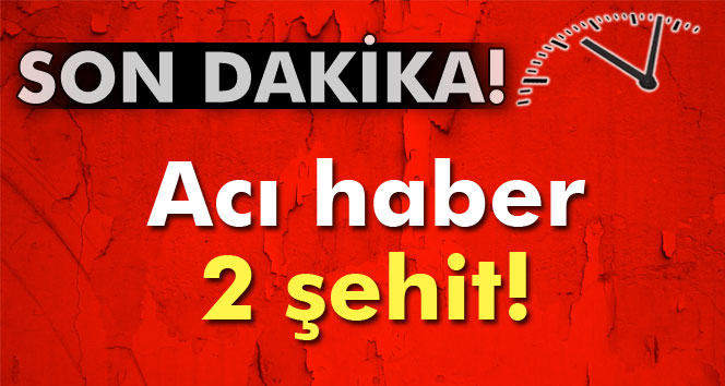 Diyarbakırdan acı haber: 2 şehit!