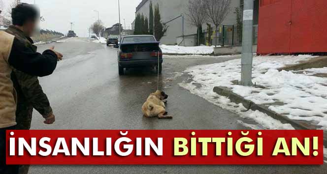 Otomobilinin arkasına bağladığı köpeğini sürükledi